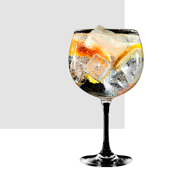 coctel gin tonic ahumado